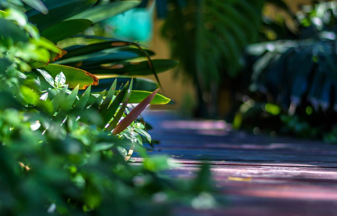 86 On Langenhoven Bed & Breakfast Oudtshoorn Buitenkant foto