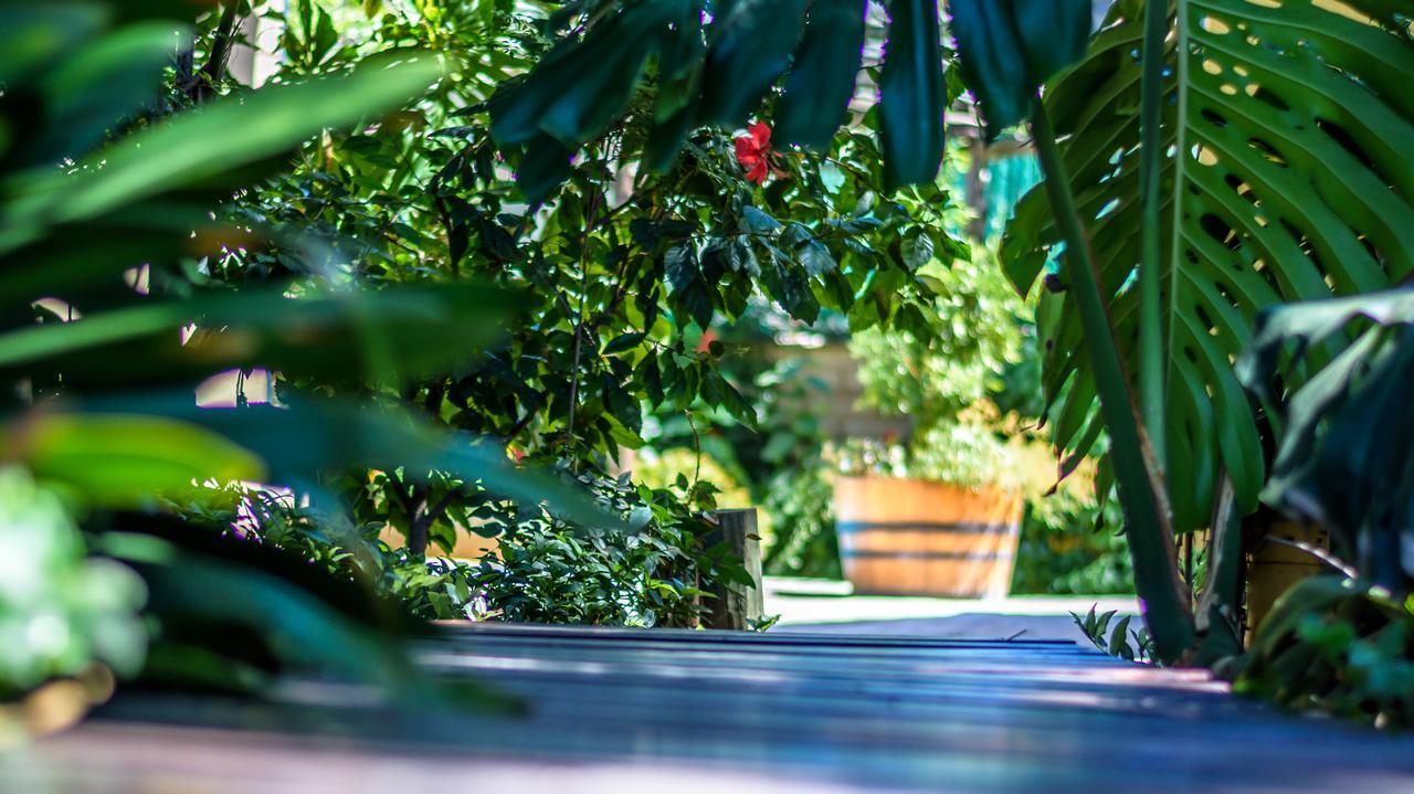 86 On Langenhoven Bed & Breakfast Oudtshoorn Buitenkant foto