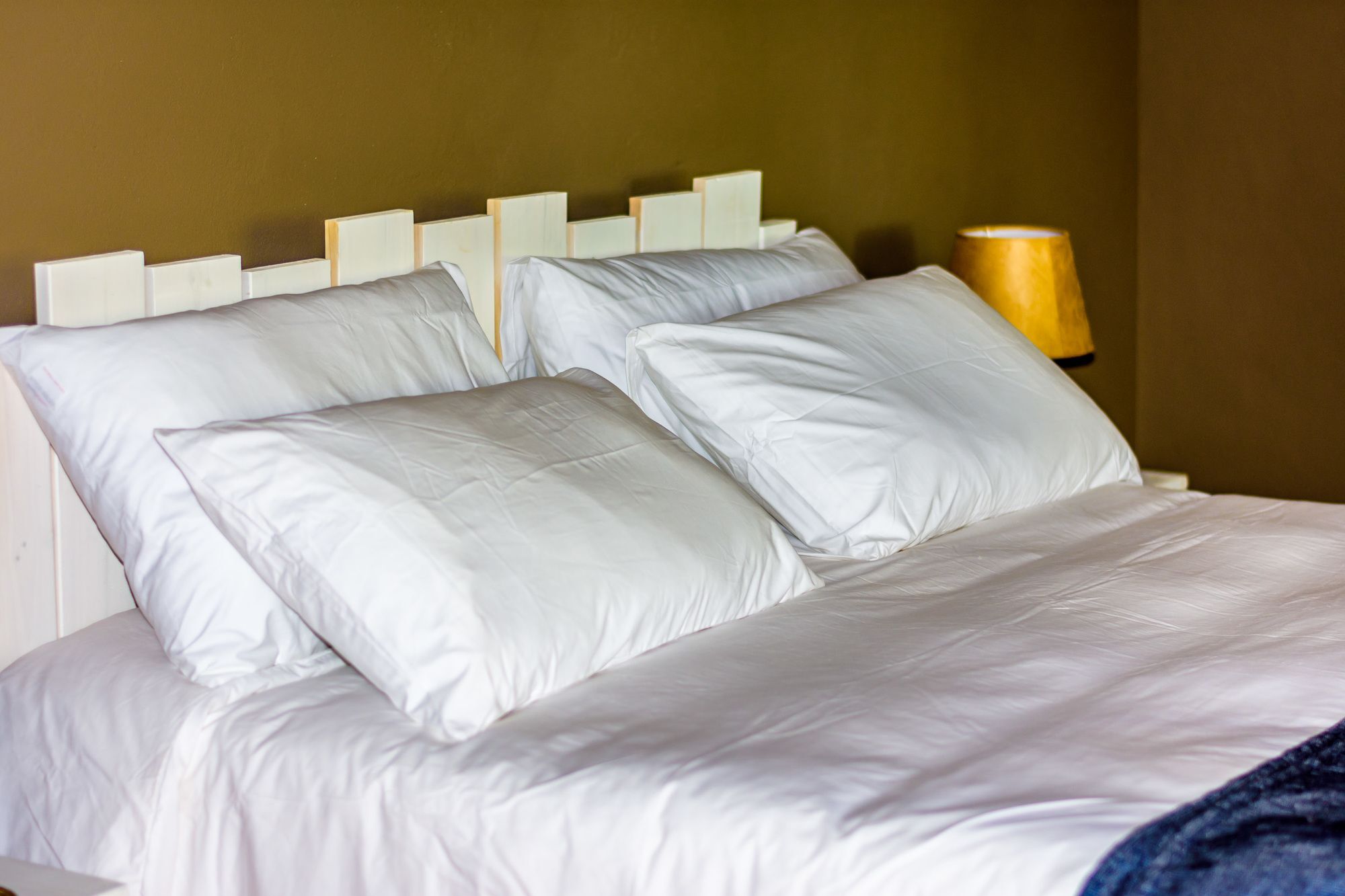 86 On Langenhoven Bed & Breakfast Oudtshoorn Buitenkant foto